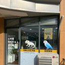 서양화기초B | 시흥 파충류샵 도마뱀라이프&amp;앵무새하우스 시흥은계점 방문 후기