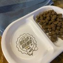 붕어카페 | [대학로/혜화]착한붕어 낚시카페 후기, 혜화역 대학로 놀거리 이색 데이트 추천