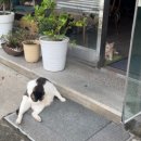 비앤씨미용실 이미지