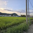 영남대학교영천병원 이미지