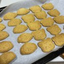 조아PC방 | 엔시티 위시 콘서트 첫콘/중콘 후기 | NCT WISH INTO THE WISH : Our WISH