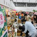 뷰티반려문화 이미지