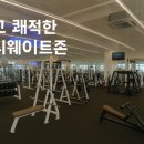 테디 케이짐 이미지