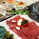 [부산/맛집] 초원농원: 양정 국제식품 식육식당에서 점심특선 진갈비살 내돈내산 후기
