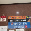 농협중앙지점 앞 보도 이미지