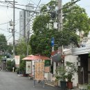 카페슈스 | 신용산역 넓은 카페 카페슈스 솔직 후기 케이크 맛집