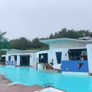 드레피인 이미지