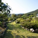 다정밥상 이미지