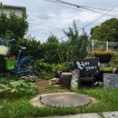 돌트미스테이 이미지