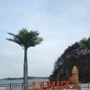 (주)선재해림풀빌라 | 선재해림풀빌라 대부도(펜션) 겨울방학 아이랑 수영장이용 예약사이트