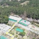 비금초등학교 병설유치원 네이버블로그