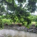 숲과계곡속으로 이미지