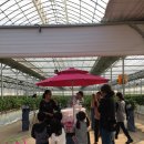 정실농장 이미지