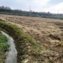 금천1리마을회관 이미지