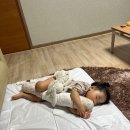 번덕뜰 민박 | 구례 지리산 정기가득 품고 힐링하고온 번덕뜰펜션 패밀리룸 숙박후기
