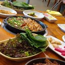 망경장어 이미지