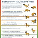 아떼꼬떼 동물병원 이미지