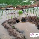 김종현 농장 이미지