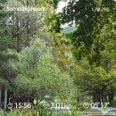 상모로-15 이미지