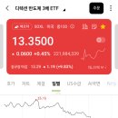 양전 이미지