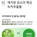 (주)더자일 | 🌿초록이 시즌4, 전작과 뭐가 달라졌을까? 성분·효과 팩트체크 찐후기