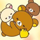 엘레펀트 이미지