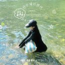 체리펜션 | 전북 완주 체리펜션 후기🏡 수영장+운주계곡+평상+닭도리탕까지 완벽한 여름 여행!