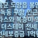 더스테이부동산공인중개사사무소 이미지