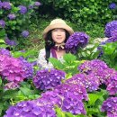 토평공단로 이미지