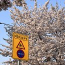 대우경남아파트.안성의료원 이미지