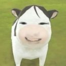 뚜레쥬르사천점 | 강원도 진짜 미친(P) 빵집 [ 강릉 사천 원강희과자점 ]
