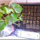 뜨락의아침 이미지