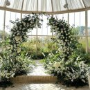 더풀하우스 이미지