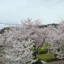 호반숲속 작은도서관 이미지