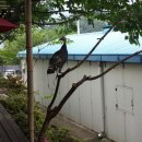 가족사랑체험펜션 이미지