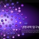큐피드영어학원