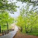 금강파크 이미지