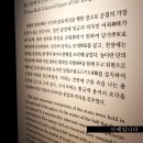 서문전시장 티스토리