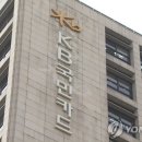 라이언코퍼레이션 이미지