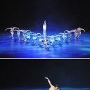 발레 천학의 비상 이미지