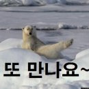 연세영훈치과교정과치과의원 이미지