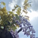 죽전동행정복지센터 이미지