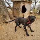 두상농장 이미지