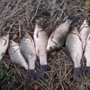 아침 이레 농장 이미지