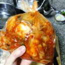 가시버시 | 간편하고 맛있는 김치 추천 가시버시농원 맛담은 배추김치(비건김치 아이김치 국산배추)