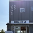 채광농장 | [서귀포 체험농장] 2월에 허락된 황금빛 천혜향, 봉봉감귤체험농장과 감성적인 카페 귤바테에서 보낸 오후