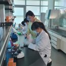 (주)다우진유전자연구소 이미지