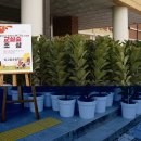 빛고을초등학교 이미지