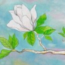 에이스행정사사무소 - 중구 퇴계로 324 | 에이스행정사사무소