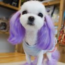 별난동물병원 이미지